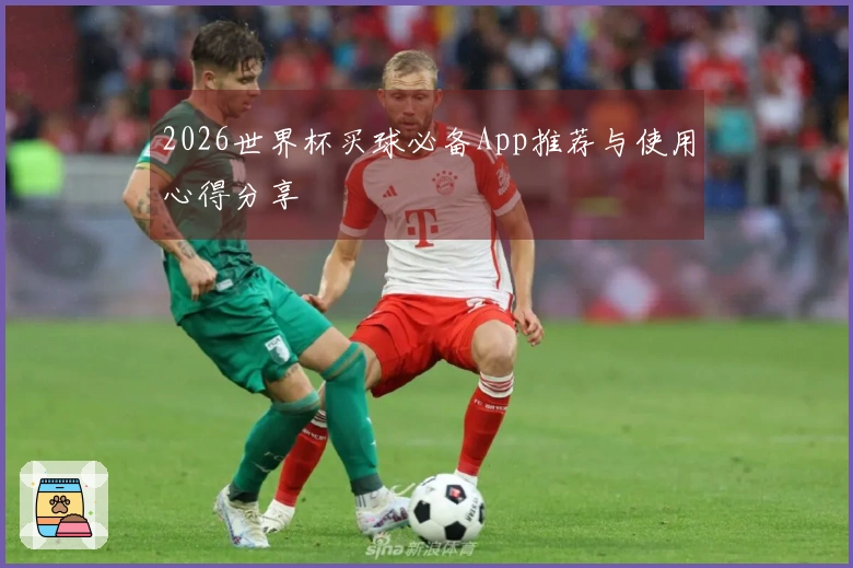 2026世界杯买球必备App推荐与使用心得分享