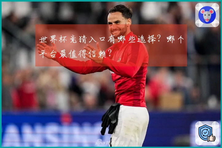 世界杯竞猜入口有哪些选择?哪个平台最值得信赖?