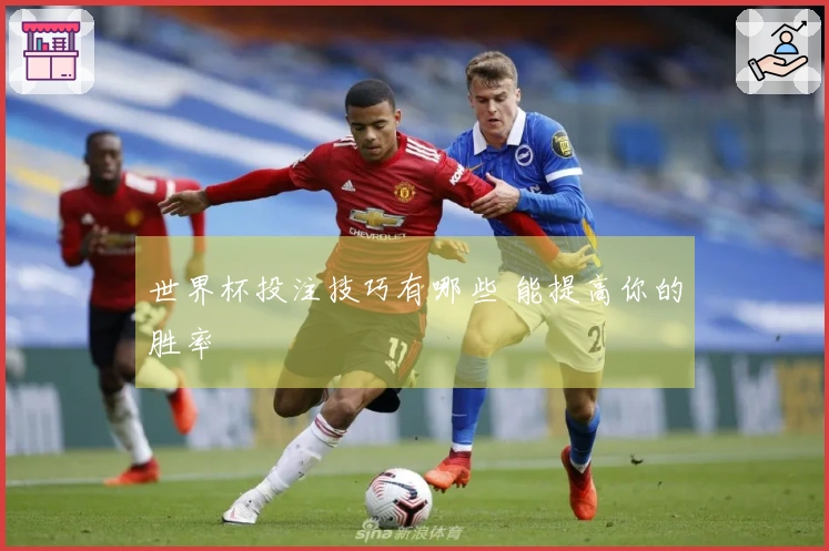 世界杯投注技巧有哪些 能提高你的胜率