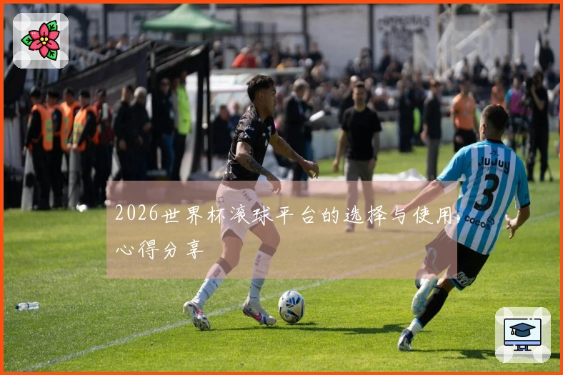 2026世界杯滚球平台的选择与使用心得分享