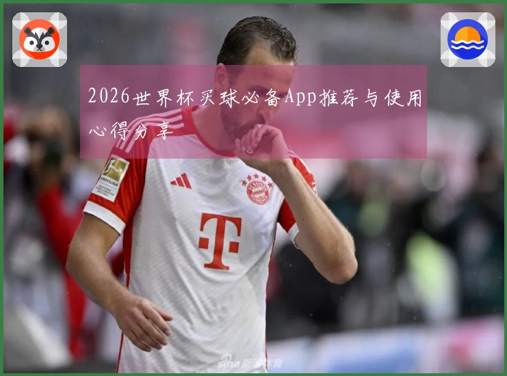 2026世界杯买球必备App推荐与使用心得分享