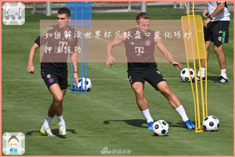 如何解读世界杯买球盘口变化巧妙押注技巧