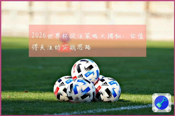 2026世界杯投注策略大揭秘，你值得关注的实战思路