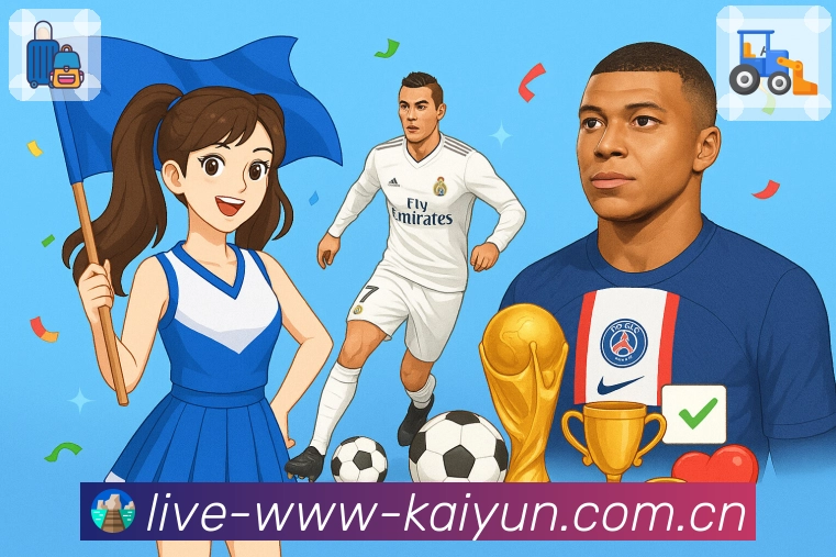 用户使用路径展示